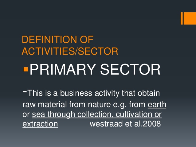 primary activities definition